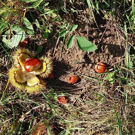 Apartmán Casina Da Eira 5 Rutas, Adaptada *