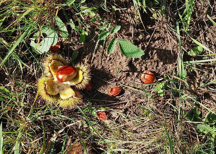 アパート Casina Da Eira 5 Rutas Adaptada *