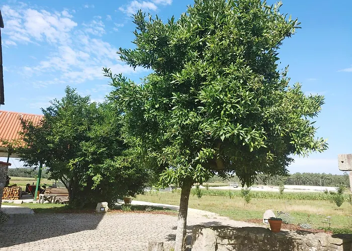 Casina Da Eira 5 Rutas Adaptada